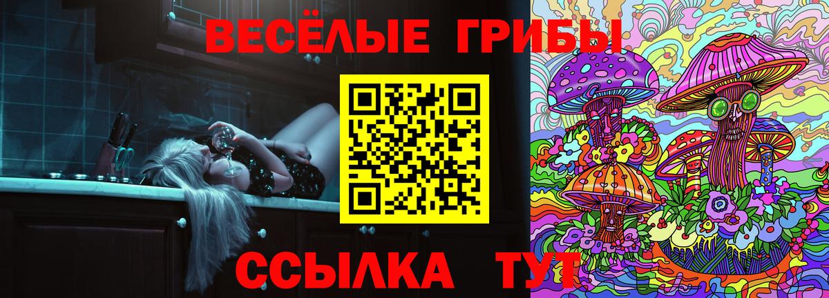 Галлюциногенные грибы Magic Shrooms  купить закладку  Выборг 