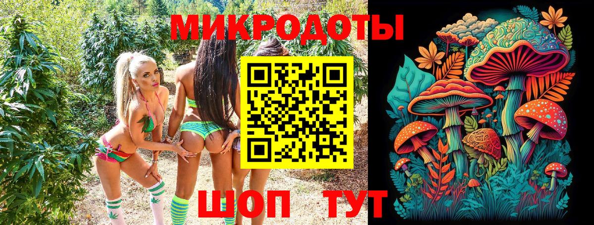 Выборг  Галлюциногенные грибы Cubensis  Вход с VPN 