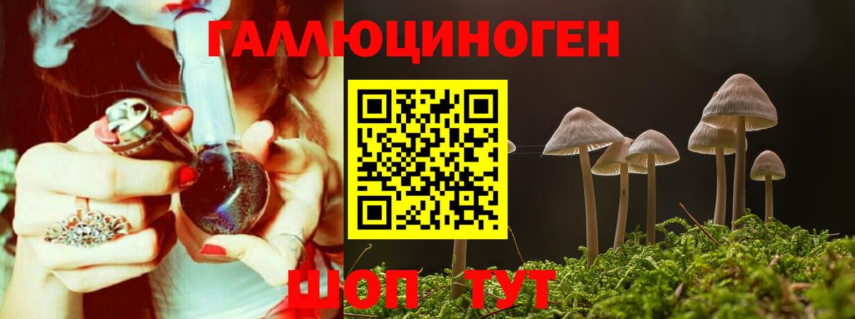 Псилоцибиновые грибы прущие грибы Выборг